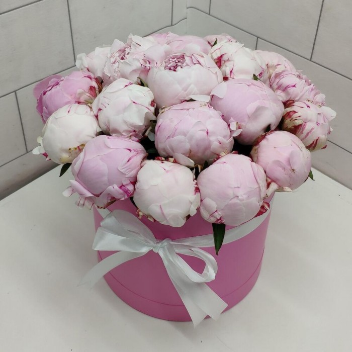 11 пионов в шляпной коробке